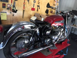 not a lot of nortons around