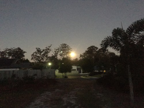 2016-06-20 17.33.57-1