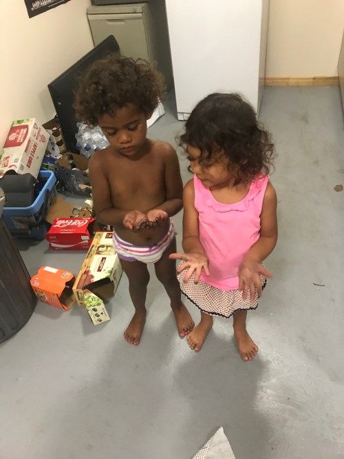 2017-11-07 18.50.48-1