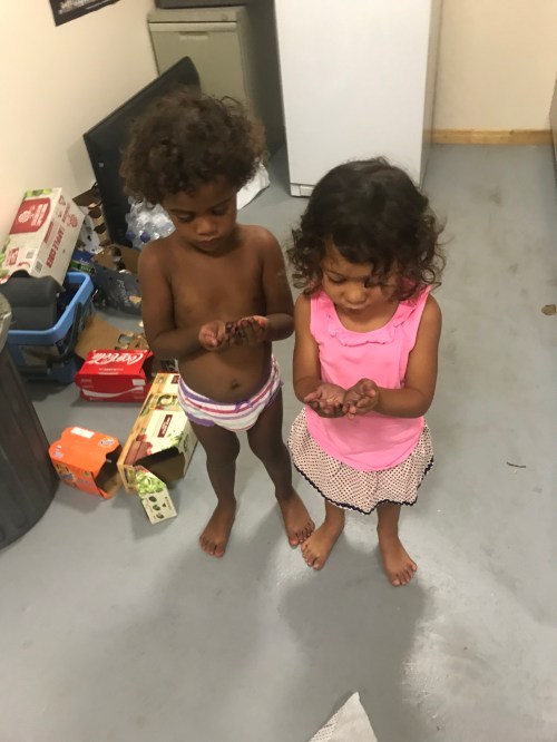 2017-11-07 18.50.48-2