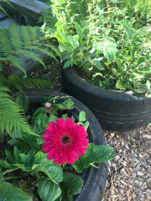 2018-01-12 15.20.44 HDR