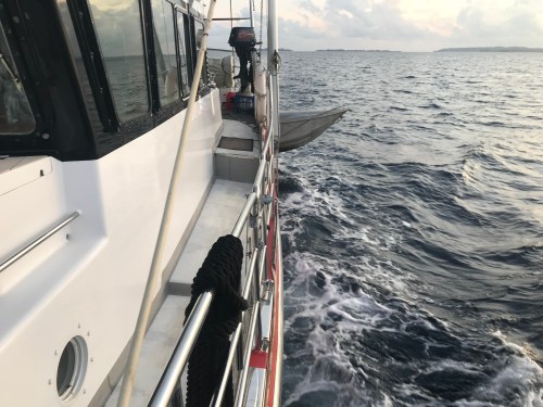 2018-02-05 18.49.40.jpg