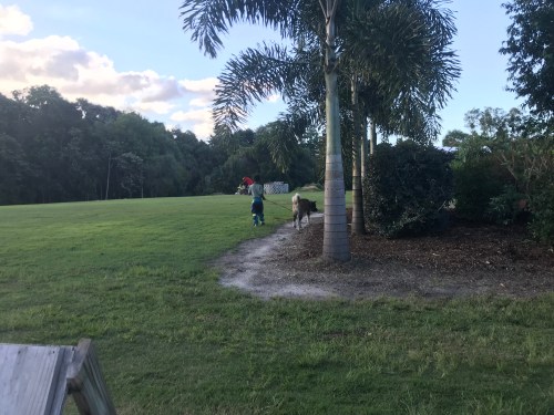 2018-03-28 16.36.48 HDR