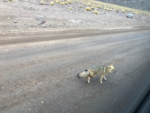 2019-06-28 10.03.07-1